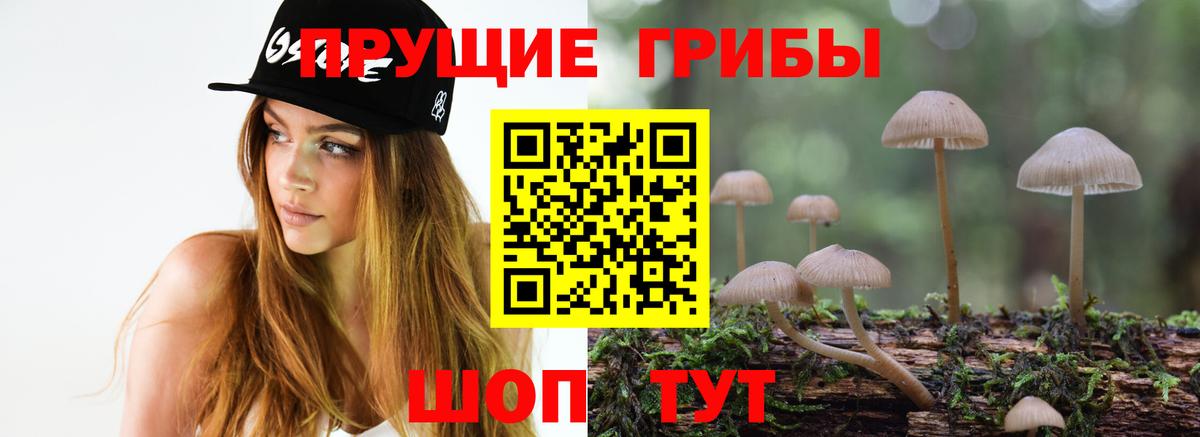 Галлюциногенные грибы MAGIC MUSHROOMS Кстово